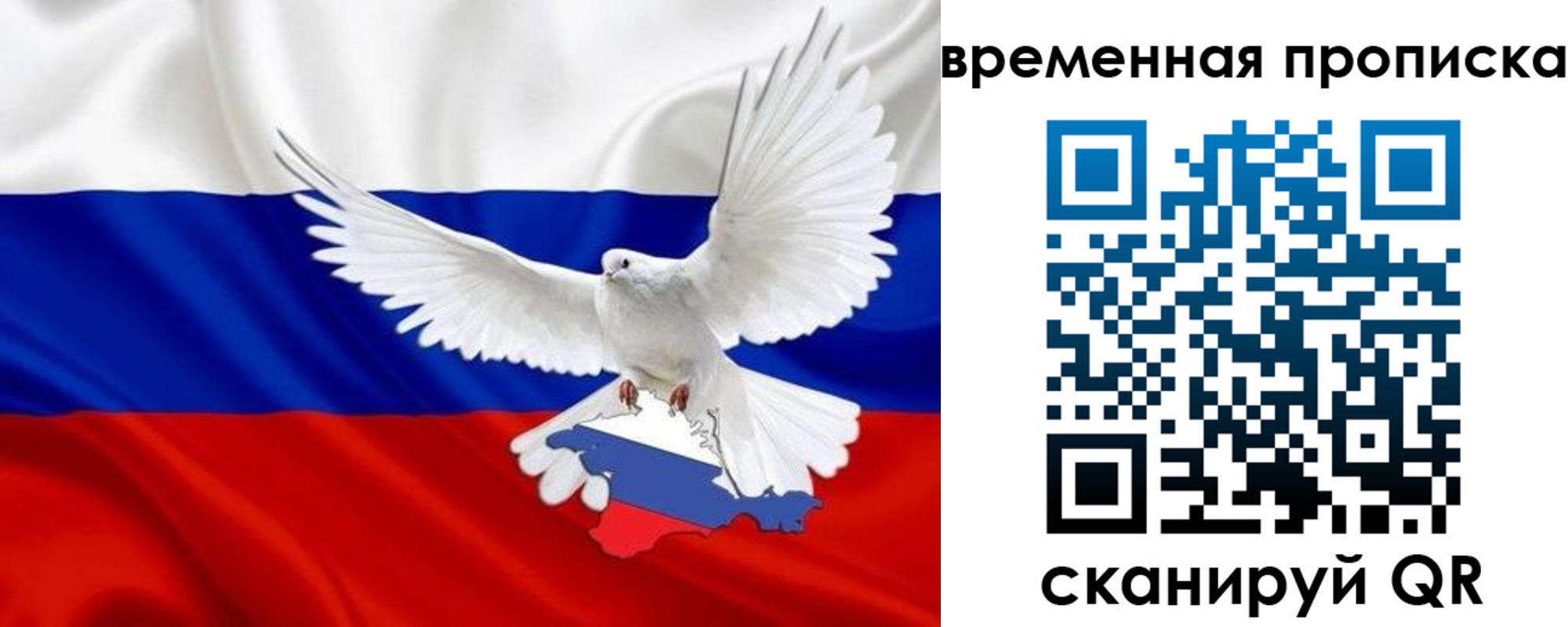 прописка иностранных граждан в Апатитах